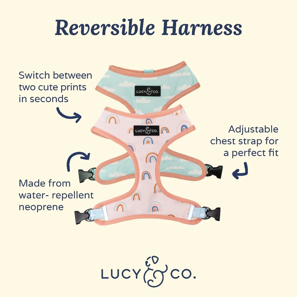 Lucy & Co. Reversible Dog Harness 